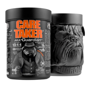 ZL CARE TAKER 10:1:1 BCAA 480G