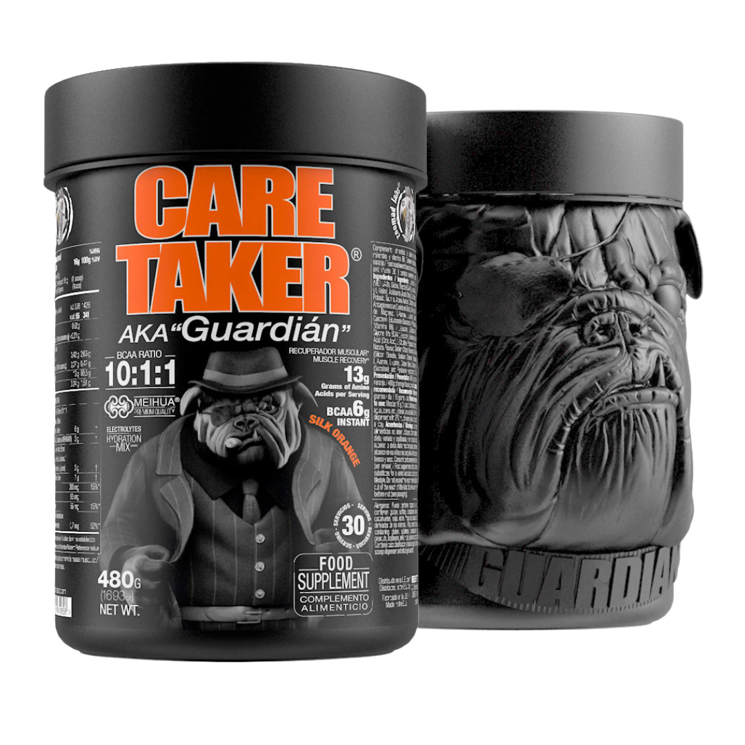 ZL CARE TAKER 10:1:1 BCAA 480G